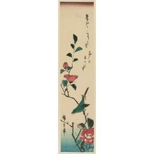 日本版画 "Warbler on Camellia Branch" 由 Utagawa Hiroshige, 歌川広重 (Utagawa Hiroshige I) 创作