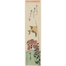 Utagawa Hiroshige: Bird and Wild Chrysanthemums - Museum of Fine Arts