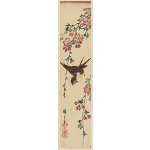 Utagawa Hiroshige: Swallow and Weeping Cherry - Museum of Fine Arts