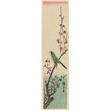 Utagawa Hiroshige: Warbler on Red Plum Branch - Museum of Fine Arts