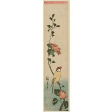 Utagawa Hiroshige: Finch on Wild Rose Branch - Museum of Fine Arts