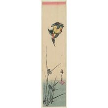 日本版画 "Kingfisher and Reeds" 由 Utagawa Hiroshige, 歌川広重 (Utagawa Hiroshige I) 创作