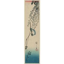 Utagawa Hiroshige: Bird on Wisteria - Museum of Fine Arts