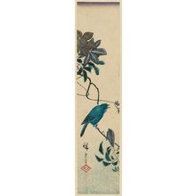 Utagawa Hiroshige: Bird and Clematis - Museum of Fine Arts