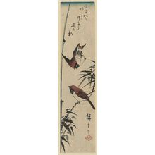 Utagawa Hiroshige: Sparrows and Bamboo - Museum of Fine Arts