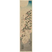 Utagawa Hiroshige: Rabbits, Bush Clover, and Full Moon - Museum of Fine Arts