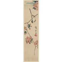 Utagawa Hiroshige: Bird on a Cherry Branch - Museum of Fine Arts