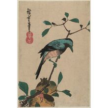 Utagawa Hiroshige: Bird on Pomegranate Branch - Museum of Fine Arts