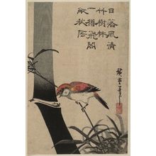 Utagawa Hiroshige: Bamboo and Sparrow - Museum of Fine Arts