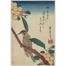 Utagawa Hiroshige: Woodpecker on Loquat Tree - Museum of Fine Arts