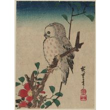 Utagawa Hiroshige: Small Owl on Camellia Branch - Museum of Fine Arts