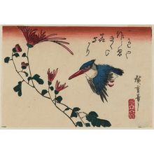 Utagawa Hiroshige: Kingfisher and Wild Chrysanthemums - Museum of Fine Arts
