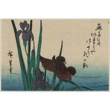 Utagawa Hiroshige: Irises and Ducks - Museum of Fine Arts