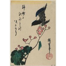 Utagawa Hiroshige: Bird and Begonia - Museum of Fine Arts