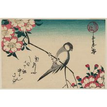 Utagawa Hiroshige: White-cheeked Bird and Double Cherry Blossoms - Museum of Fine Arts