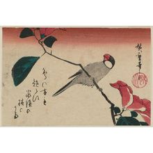 Utagawa Hiroshige: Finch on Camellia Branch - Museum of Fine Arts