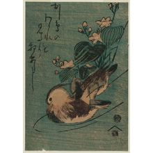 Utagawa Hiroshige: Mandarin Ducks and Mizu-aoi - Museum of Fine Arts