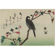 Utagawa Hiroshige: White-cheeked Bird on Maple Branch - Museum of Fine Arts