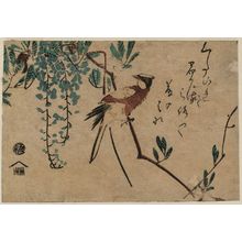 日本版画 "Black-naped Oriole and Wisteria" 由 Utagawa Hiroshige, 歌川広重 (Utagawa Hiroshige I) 创作