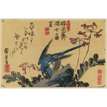 Utagawa Hiroshige: Bluebird and Flowers - Museum of Fine Arts