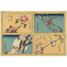 Utagawa Hiroshige: Four small prints: Peony and Snail (TL), Plum Blossoms and Macaw (TR), Bird on Aronia Branch (BR), Cherry Blossoms and Full Moon (BL) - Museum of Fine Arts