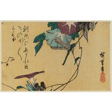 Utagawa Hiroshige: Dragonfly and Morning Glories - Museum of Fine Arts
