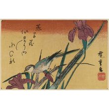 Utagawa Hiroshige: Irises and Wagtail - Museum of Fine Arts