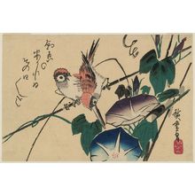 Utagawa Hiroshige: Morning Glories and Sparrow - Museum of Fine Arts