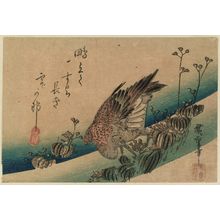 Utagawa Hiroshige: Water Plants and Snipe - Museum of Fine Arts