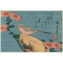 Utagawa Hiroshige: Pinks and Wagtail - Museum of Fine Arts