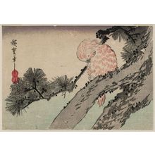 歌川広重: Small Owl on Pine Branch - ボストン美術館