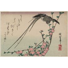 Utagawa Hiroshige: Long-tailed Bird and Peach Blossoms - Museum of Fine Arts