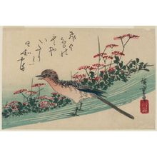 日本版画 "Red Flowers and Hiyodori (Brown-Eared Bulbul )" 由 Utagawa Hiroshige, 歌川広重 (Utagawa Hiroshige I) 创作