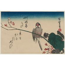 Utagawa Hiroshige: Bird on Begonia - Museum of Fine Arts