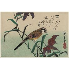 Utagawa Hiroshige: Bunting and Lilies - Museum of Fine Arts