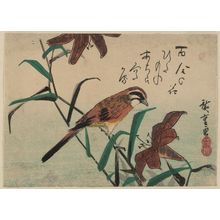 Utagawa Hiroshige: Bunting and Lilies - Museum of Fine Arts