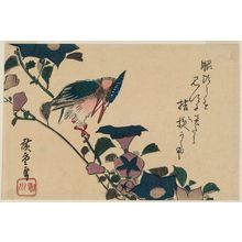 Utagawa Hiroshige: Bellflowers and Kingfisher - Museum of Fine Arts