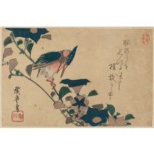 Utagawa Hiroshige: Bellflowers and Kingfisher - Museum of Fine Arts