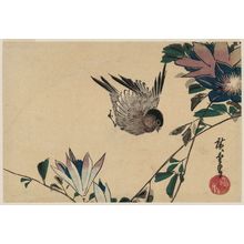 Utagawa Hiroshige: Passion Vine and Sparrow - Museum of Fine Arts