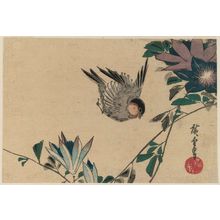 Utagawa Hiroshige: Passion Vine and Sparrow - Museum of Fine Arts