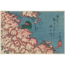 Utagawa Hiroshige: Double Cherry Blossoms and Green Bird - Museum of Fine Arts