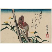 Utagawa Hiroshige: Kingfisher and Dayflower - Museum of Fine Arts