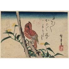 Utagawa Hiroshige: Kingfisher and Dayflower - Museum of Fine Arts