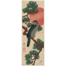 Utagawa Hiroshige: Falcon, Pine, and Sun - Museum of Fine Arts