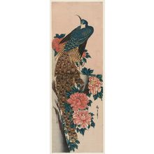 歌川広重: Peacock and Peonies - ボストン美術館
