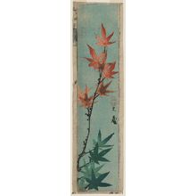Katsushika Taito II: Maple Leaves - Museum of Fine Arts