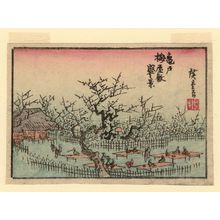 Utagawa Hiroshige: The Plum Garden at Kameido in Full Bloom (Kameido umeyashiki sakari no zu), from an untitled series of views of Edo - Museum of Fine Arts