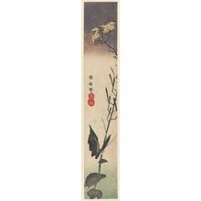 Utagawa Hiroshige: Butterfly and Canola Flower, cut from an unidentified harimaze sheet - Museum of Fine Arts