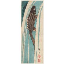 Utagawa Hiroshige: Carp Ascending a Waterfall, cut from an unidentified harimaze sheet - Museum of Fine Arts