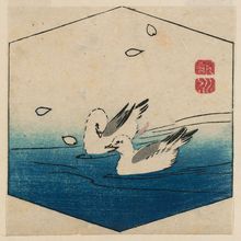 歌川広重: Oyster-catchers (Miyakodori) and Falling Petals, cut from an untitled harimaze sheet - ボストン美術館